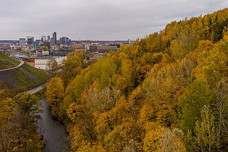 Ekonomika, asociatyvi nuotr.