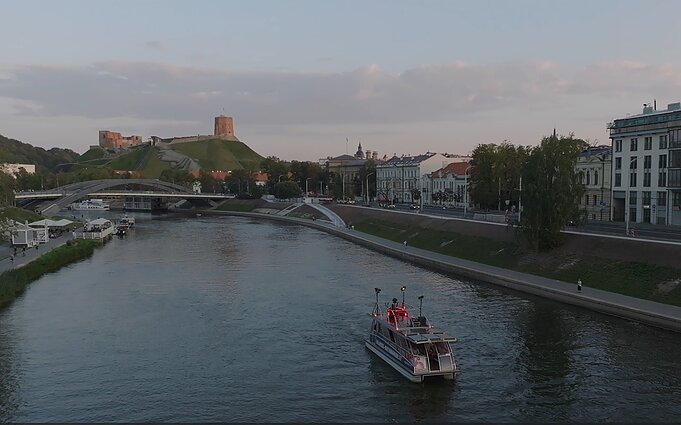 Ievos Dūdaitės koncerto akimirka