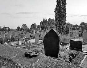 Kapinės