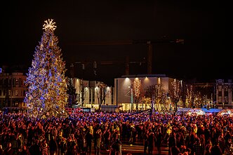 Įžiebta Kauno miesto eglė Įžiebta Kauno miesto eglė
