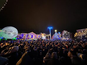 Klaipėdos eglė Klaipėdos eglė