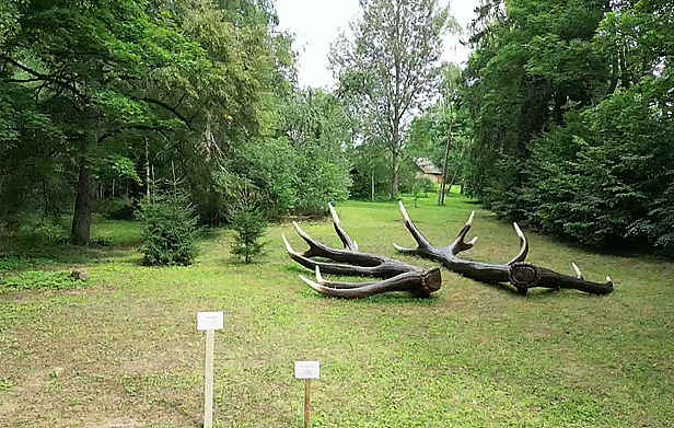 Žilvino Landzbergo „Karūna“ Žilvino Landzbergo „Karūna“