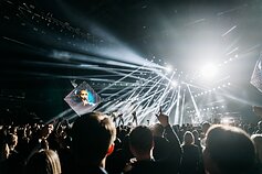 „Šeškių“ koncerto akimirka 