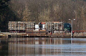 Miškavežis. Asociatyvi nuotr.