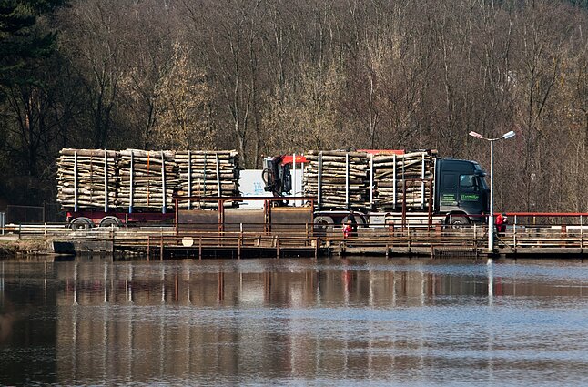 Miškavežis. Asociatyvi nuotr.