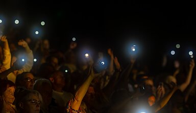 Natalijos Bunkės koncerto akimirka