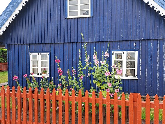 Mildos ir jos sūnaus kasdienybė – laisvalaikiu jie daug keliauja