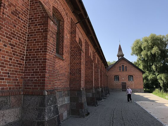 Žagarė