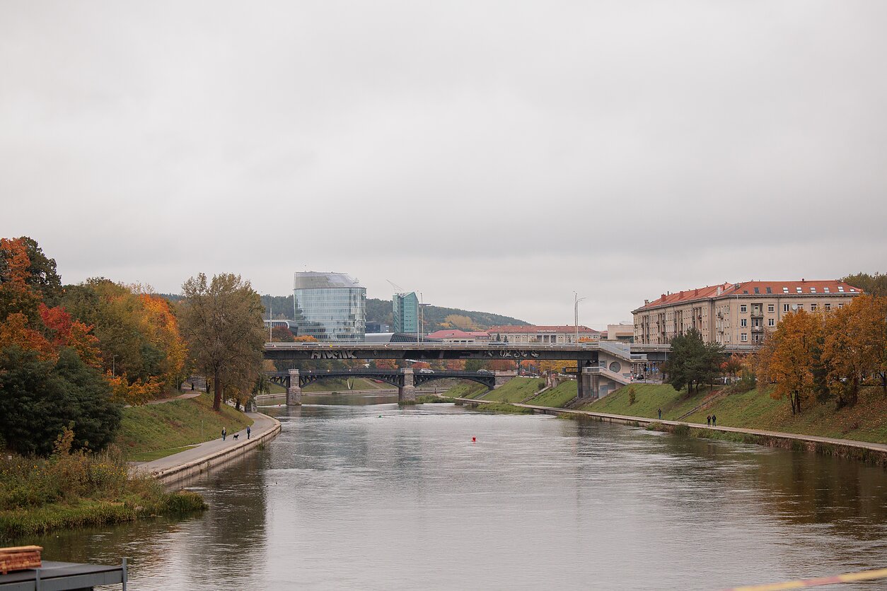 Nėris