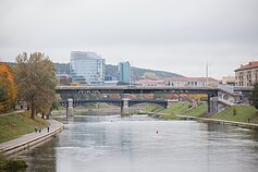 Nėris