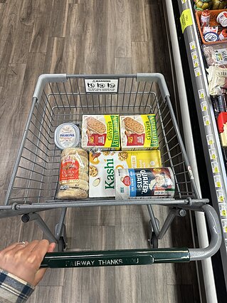 Dovilės kelionė pėsčiomis per JAV