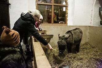 Bene paskutinis asiliuko Valentino apsilankymas Bernardinų bažnyčioje 2018 m.