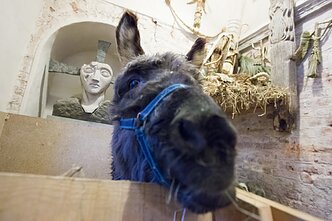 Bene paskutinis asiliuko Valentino apsilankymas Bernardinų bažnyčioje 2018 m.