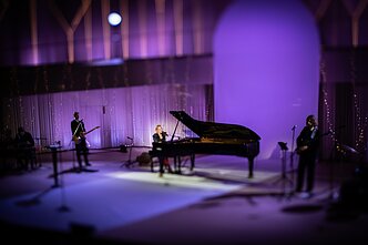 Ievos Narkutės koncerto akimirka