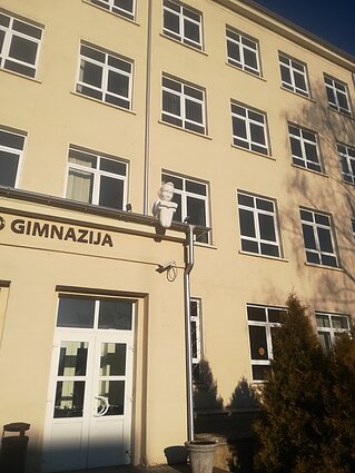 Keli Dmitrijaus kolekcijos egzemplioriai