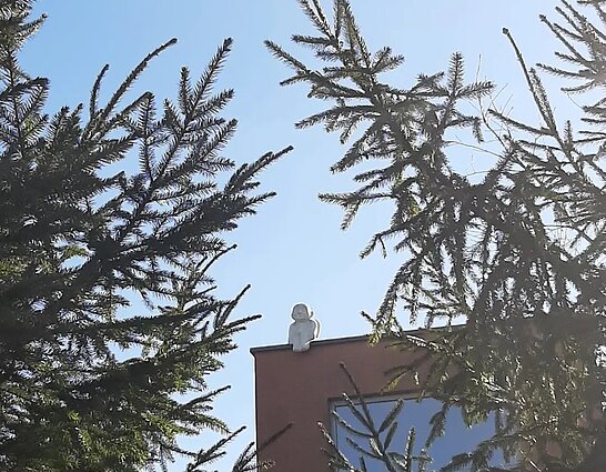 Dar keli Dmitrijaus kolekcijos egzemplioriai