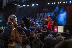 Festivalio „Bliuzo naktys“ akimirka 