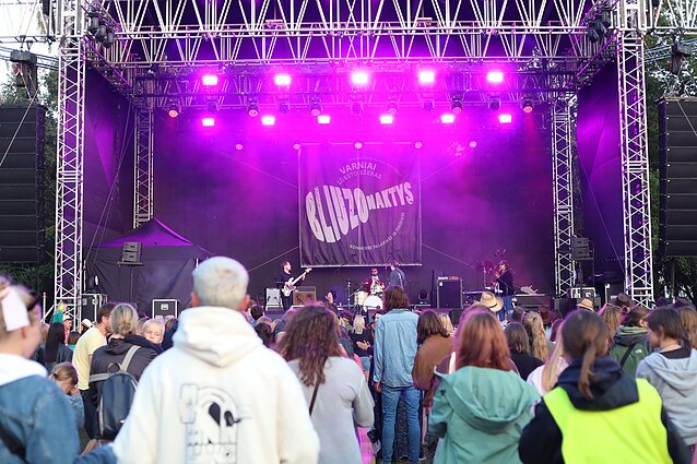 Festivalio „Bliuzo naktys“ akimirka 