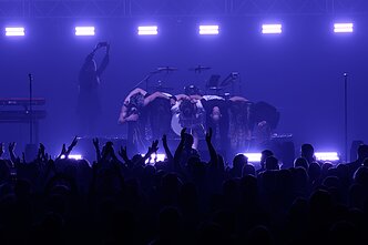 Džordanos Butkutės koncerto akimirka