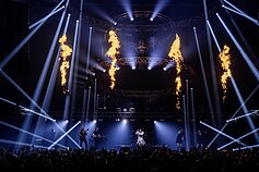 Džordanos Butkutės koncerto akimirka