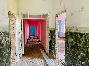 Remontas Krokialaukyje