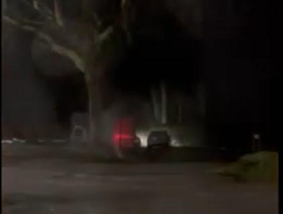 „Facebook“ pasidalinta vaizdo įrašu, kuriame neva užfiksuotas Valstybinių miškų urėdijos vadovas Valdas Kaubrė bei jam pavaldi Žmonių kultūros skyriaus vadovė Izolda Baltutė