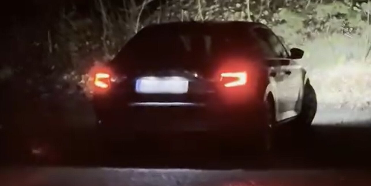 „Facebook“ pasidalinta vaizdo įrašu, kuriame neva užfiksuotas Valstybinių miškų urėdijos vadovas Valdas Kaubrė bei jam pavaldi Žmonių kultūros skyriaus vadovė Izolda Baltutė