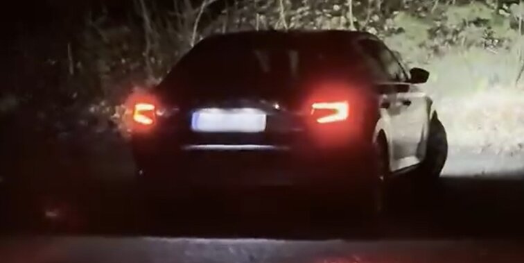 „Facebook“ pasidalinta vaizdo įrašu, kuriame neva užfiksuotas Valstybinių miškų urėdijos vadovas Valdas Kaubrė bei jam pavaldi Žmonių kultūros skyriaus vadovė Izolda Baltutė