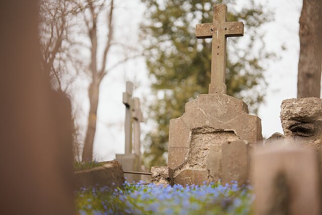 Istorinėse sostinės Bernardinų kapinėse jau pražydo pirmosios scylės Istorinėse sostinės Bernardinų kapinėse jau pražydo pirmosios scylės