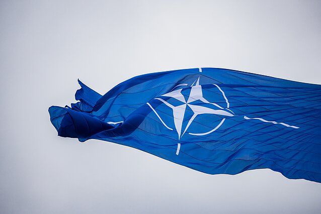 NATO vėliava