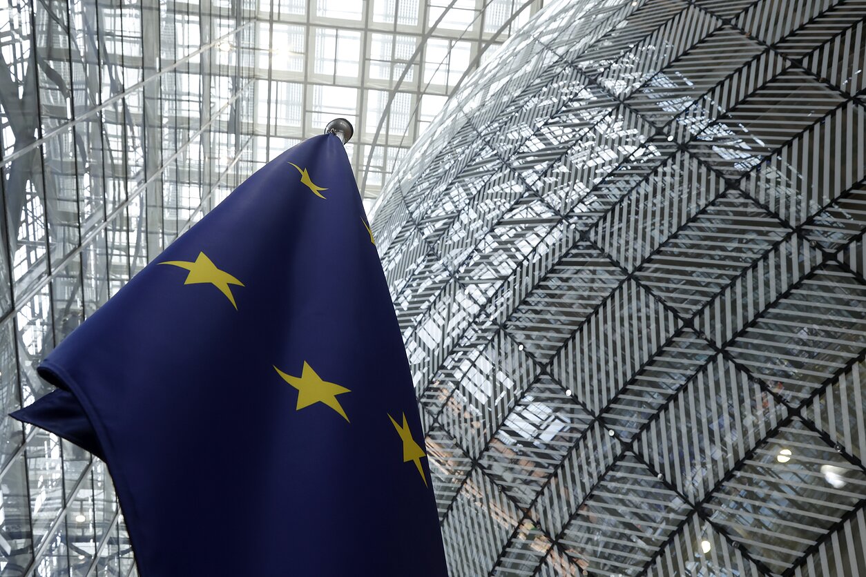 European Union flag European Union flag