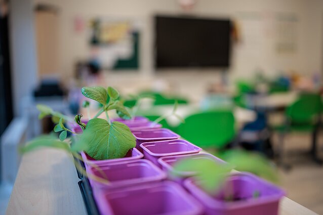 Vilniaus Antakalnio pradinė mokykla