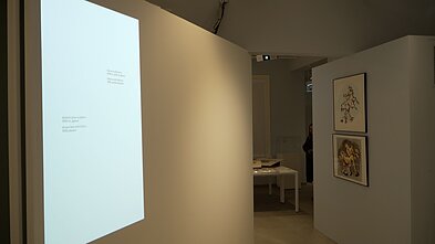 Žako Lipšico muziejus Druskininkuose 
