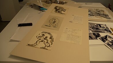 Žako Lipšico muziejus Druskininkuose 