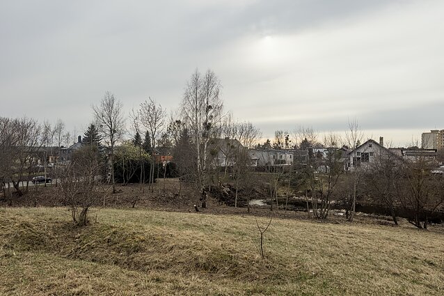 Linkuvos įtvirtinimai Kaune