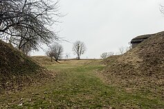 Linkuvos įtvirtinimai Kaune