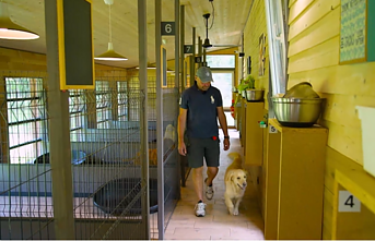 Inesos ir Žilvino Šalkauskų įkurtas šunų viešbutis