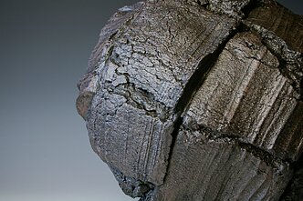 Rimos Leipuvienės paroda „Riboženkliai“