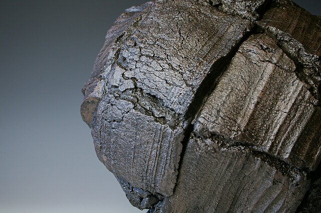 Rimos Leipuvienės paroda „Riboženkliai“