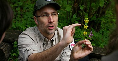 Plukių žydėjimo šventė