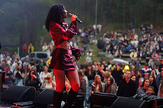 Ankstesnių festivalių akimirkos