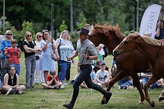 Ankstesnių festivalių akimirkos