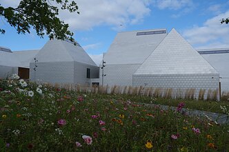 „Dingęs štetlas“ 