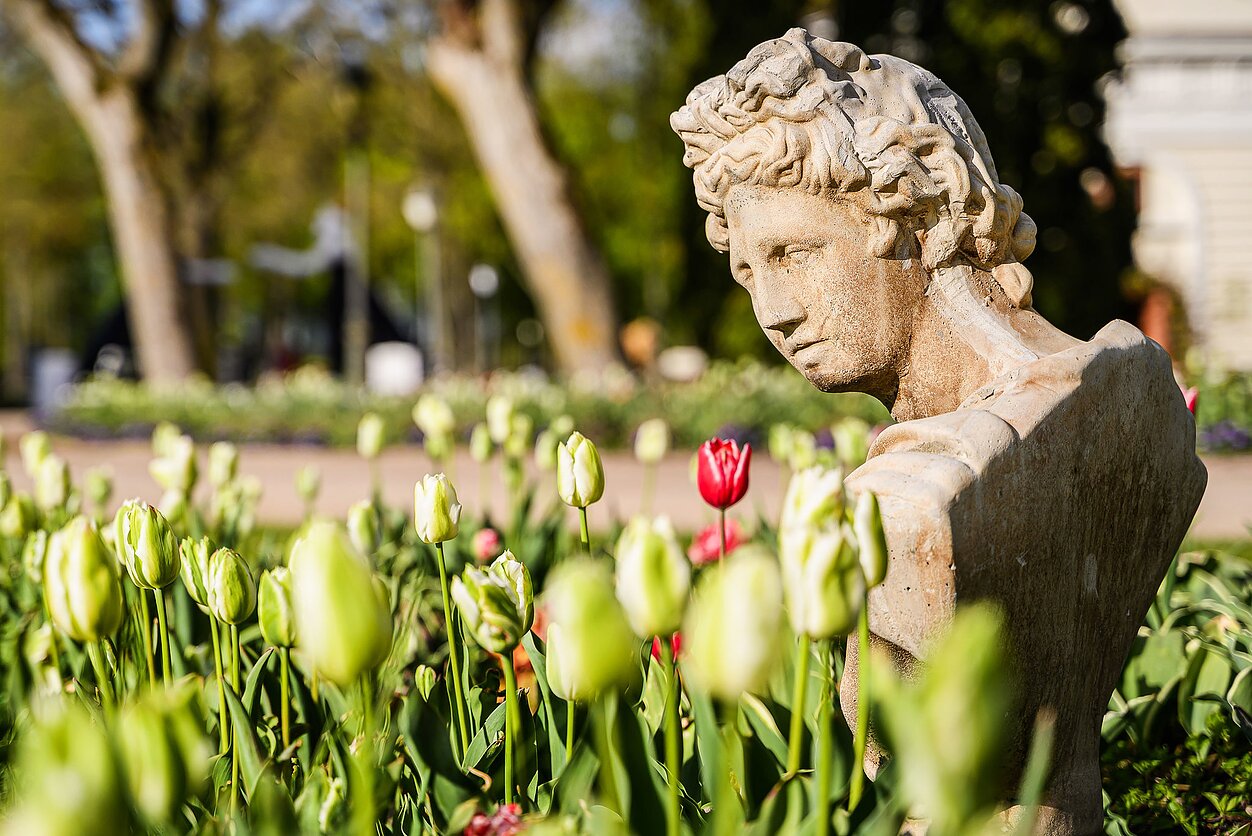 Ankstesnių festivalių akimirkos