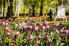 Ankstesnių festivalių akimirkos