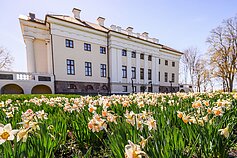 Ankstesnių festivalių akimirkos