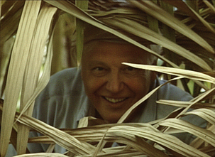 Davidas Attenborough