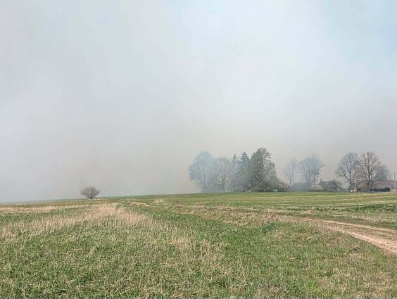 Gaisras Kupiškio rajone: dega durpynas, sutelktos gausios ugniagesių pajėgos