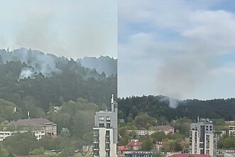 Sostinės Antakalnio rajone užsidegė miško paklotė