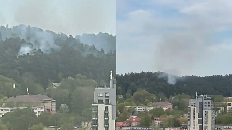 Vilniaus Antakalnio rajone užsidegė miško paklotė